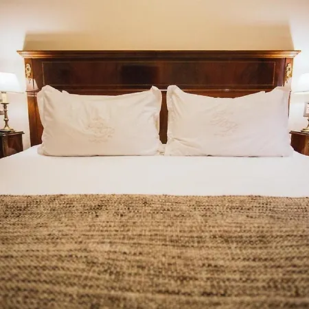 Melia Recoleta Plaza Hotel Buenos Aires Exterior foto A bed with a carpet