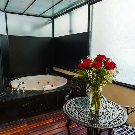 Melia Recoleta Plaza Hotel Buenos Aires Exterior foto A private balcony at the hotel